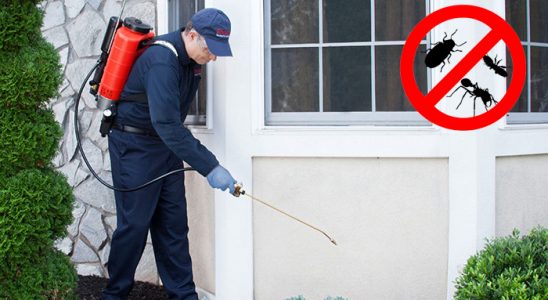 Çekerek Kemirgen İlaçlama böcek ilaçlama ve haşere kontrolü — ilaclama-tr.com